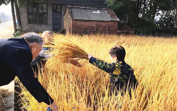 10.16百日冲刺.jpg 10.16百日冲刺.jpg