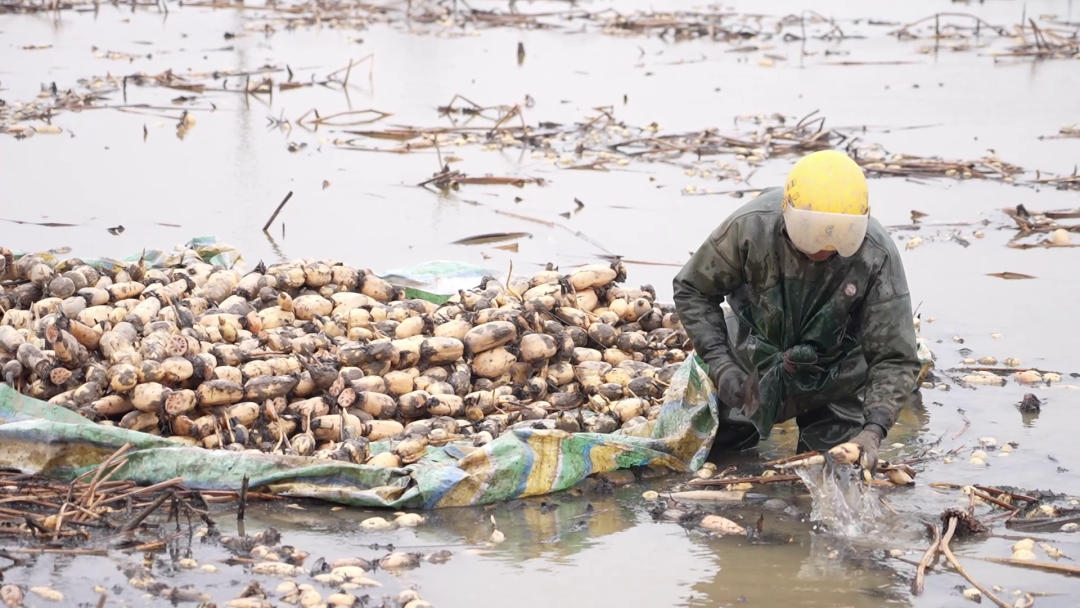 ���꿪�ź죺��Ķ��źϲӭ����