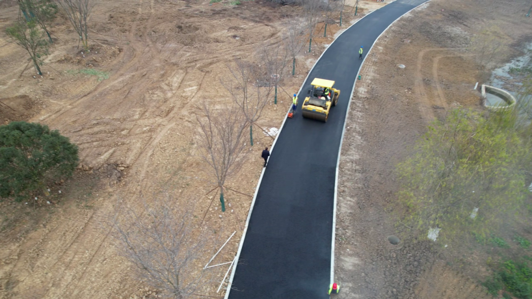 ϴ������԰���貽�롰�쳵����