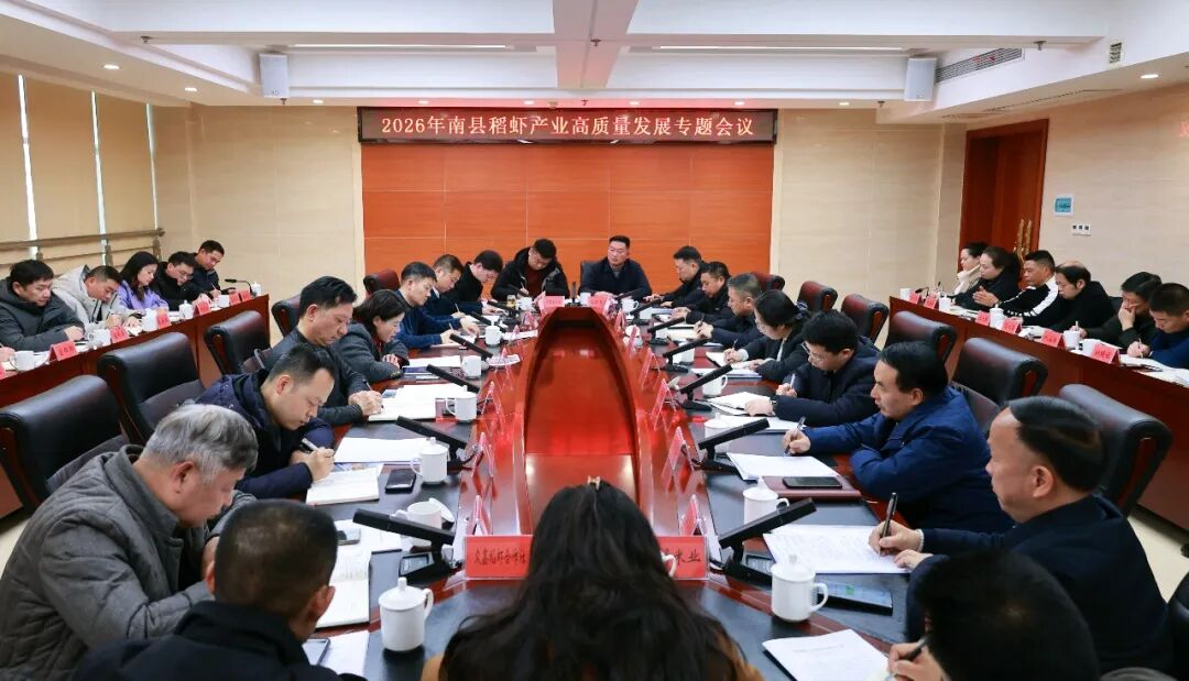 �ӽ��������ٿ�2026�����ص�Ϻ��ҵ��������չר�����