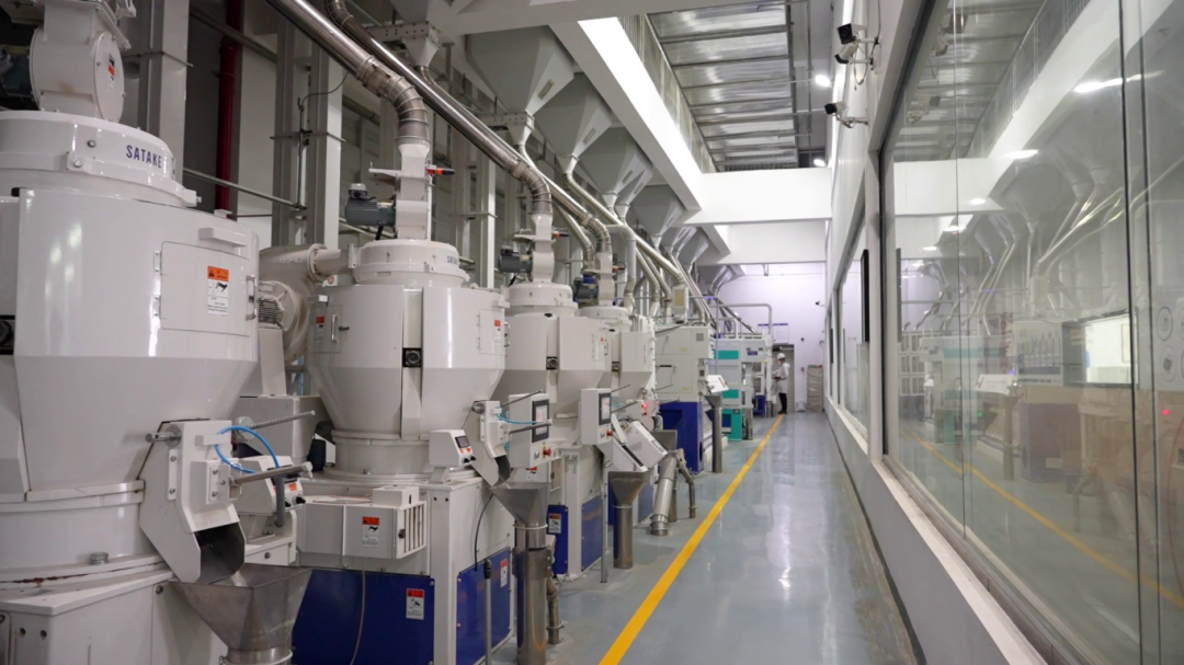 ��Ϻ���󿪹�æ ������̡����ź족