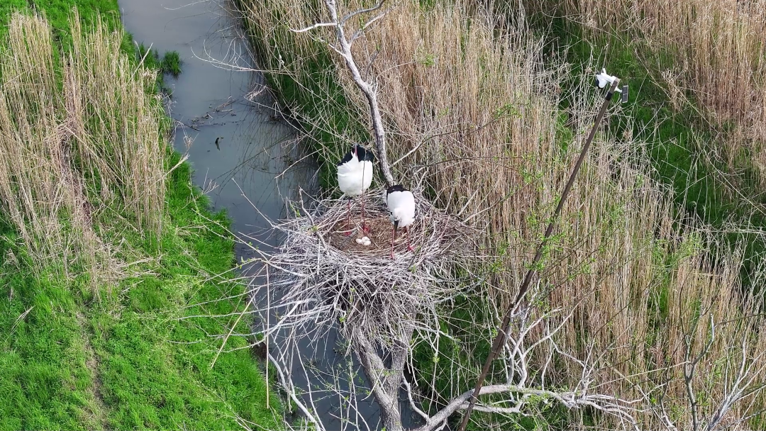 �������������ƿ� �������ꡰ���ҡ����ؼ�֤��̬֮��